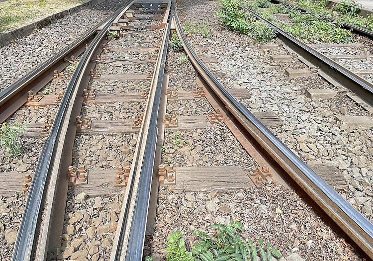 Kosten der Deutschen Bahn für Unkrautvernichtung steigen drastisch