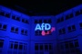 Positionspapier: AfD-Bundestagsfraktion will Nord-Stream-Pipeline reaktivieren