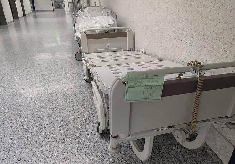 Zahl der FSME- und Borreliose-Todesfälle leicht gestiegen