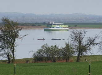 Rettungsversuch für hilflosen Buckelwal in Ostsee auf Freitag verschoben