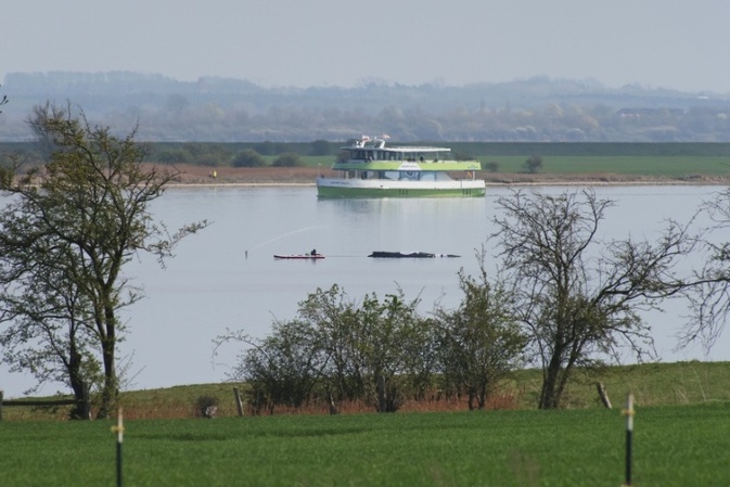 Rettungsversuch für hilflosen Buckelwal in Ostsee auf Freitag verschoben