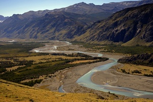 Auf Schafsfarm in Patagonien: Forscherteam entdeckt neuen Langhalssaurier