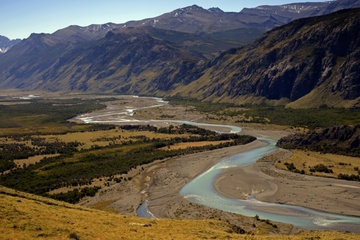 Auf Schafsfarm in Patagonien: Forscherteam entdeckt neuen Langhalssaurier