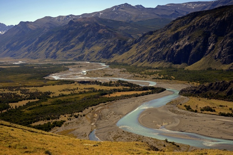 Auf Schafsfarm in Patagonien: Forscherteam entdeckt neuen Langhalssaurier
