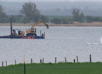 Neue Wende in Drama um Buckelwal: Tier schwimmt sich selbst frei