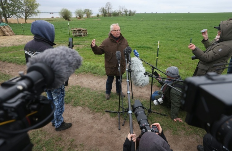Drama um notleidenden Wal in Ostsee: Tier schwimmt sich frei und kommt wieder fest