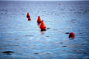 Nabu sieht geringe Überlebenschancen für gestrandeten Buckelwal