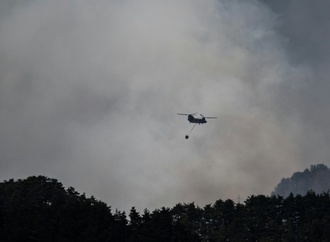 Hunderte Feuerwehrleute gegen Waldbrände in Nordjapan im Einsatz