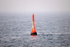 Mehrheit sorgt sich um den Wal in der Ostsee