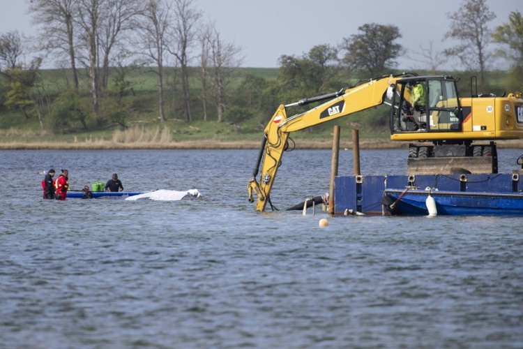 Waldrama vor Insel Poel: Helfer warten auf Spezialschiff für Transport