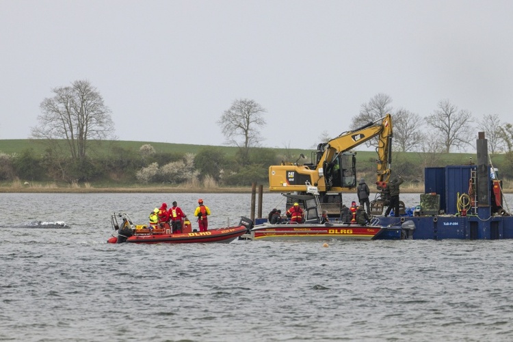 Waldrama vor Insel Poel: Spezialschute für Transport erreicht Ostsee