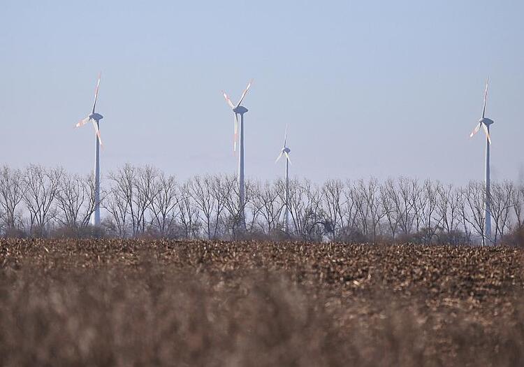 Schneider drängt Koalition zu mehr Unterstützung bei Energiewende