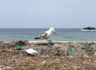 Regierung will gravierende Umweltkriminalität schärfer bestrafen