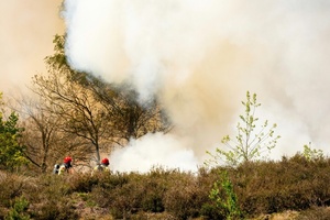 Mindestens fünf Waldbrände in den Niederlanden - Unterstützung aus Deutschland