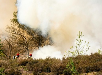 Mindestens fünf Waldbrände in den Niederlanden - Unterstützung aus Deutschland