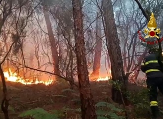 Waldbrand in der Toskana: Rund 3500 Menschen müssen ihre Häuser verlassen