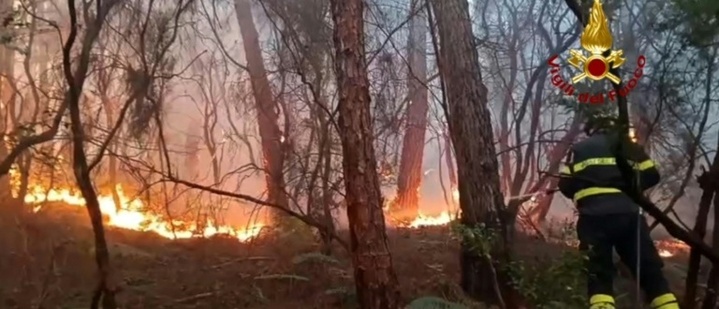 Waldbrand in der Toskana: Rund 3500 Menschen müssen ihre Häuser verlassen