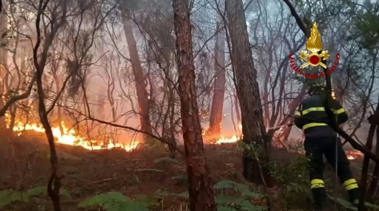 Waldbrand in der Toskana: Rund 3500 Menschen müssen ihre Häuser verlassen