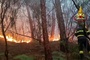 Waldbrand in der Toskana: Rund 3500 Menschen müssen ihre Häuser verlassen
