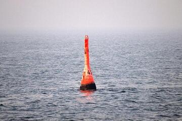 Gestrandeter Buckelwal in der Nordsee freigesetzt