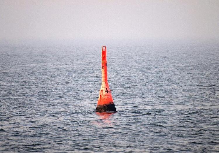 Gestrandeter Buckelwal in der Nordsee freigesetzt