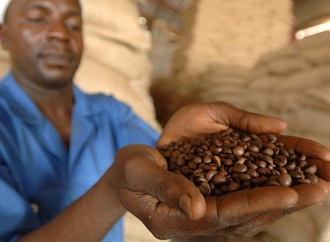 38 Euro pro Kopf für Fairtrade-Produkte: Umsatz erreicht 2025 neues Rekordhoch