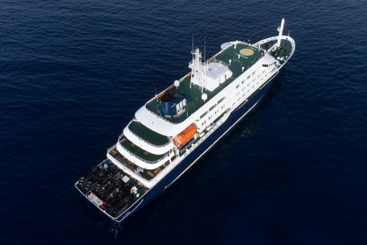 Hantavirus auf Kreuzfahrtschiff: Zwei Erkrankte werden in die Niederlande ausgeflogen