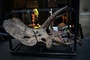 Dinosaurierschädel in Millionenwert: Spezialabfertigung bei Zoll in Bayern