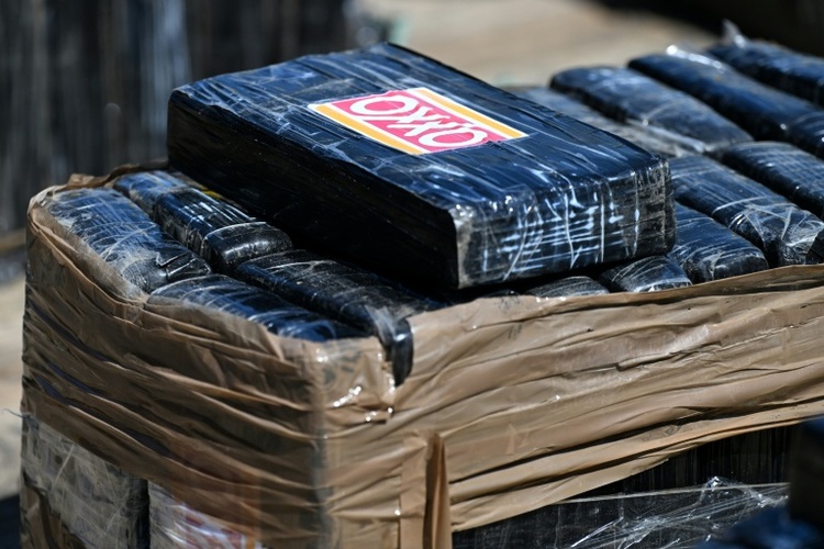 Zollbeamte beschlagnahmen in Nordrhein-Westfalen mehr als 600 Kilogramm Kokain