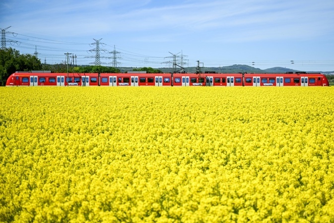 Bahn-Infrastruktur in Deutschland 2025 kaum verbessert - DB-Spitze optimistisch