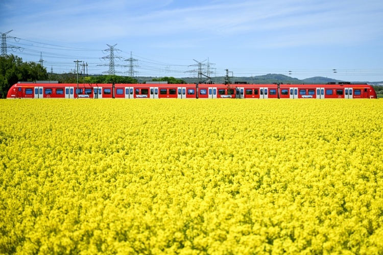 Bahn-Infrastruktur in Deutschland 2025 kaum verbessert - DB-Spitze optimistisch