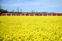 Bahn-Infrastruktur in Deutschland 2025 kaum verbessert - DB-Spitze optimistisch