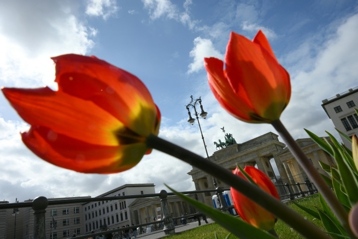 Volksbegehren ''Berlin autofrei'' wegen zu weniger Unterschriften gescheitert