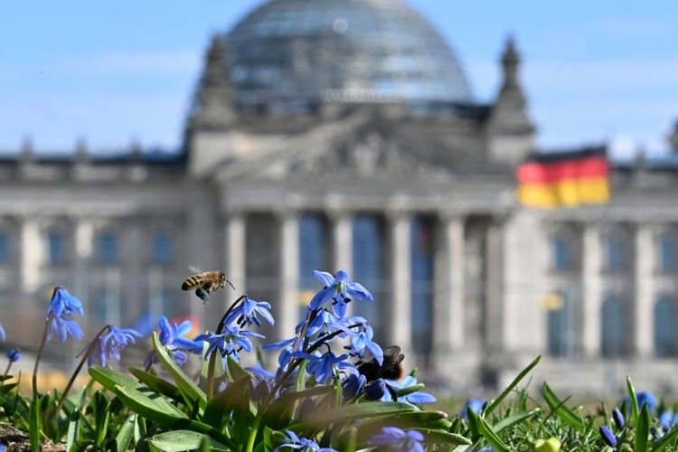 Bauprojekt des Bundestags soll zu Sparzwecken gestoppt werden