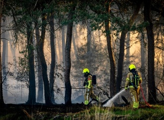 Klimawandel und El Niño: Forscher warnen vor extremen Waldbränden