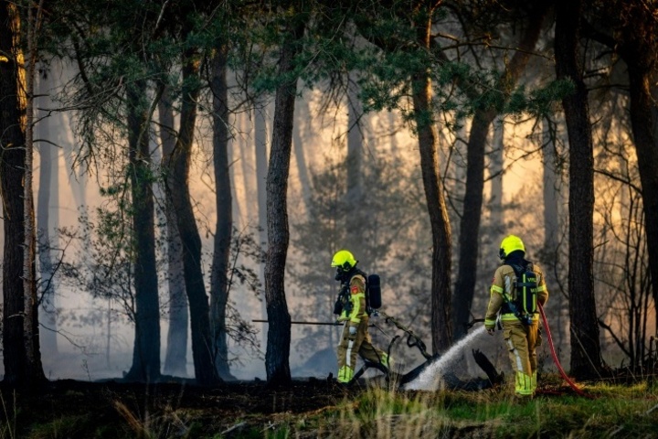 Klimawandel und El Niño: Forscher warnen vor extremen Waldbränden