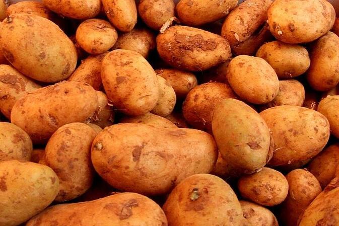 Landwirtschaftliche Erzeugerpreise im März deutlich gesunken