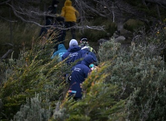 Argentinische Forscher stellen nach Hantavirus-Ausbruch Fallen in Ushuaia auf