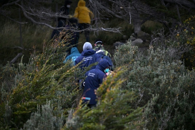 Argentinische Forscher stellen nach Hantavirus-Ausbruch Fallen in Ushuaia auf