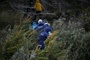 Argentinische Forscher stellen nach Hantavirus-Ausbruch Fallen in Ushuaia auf