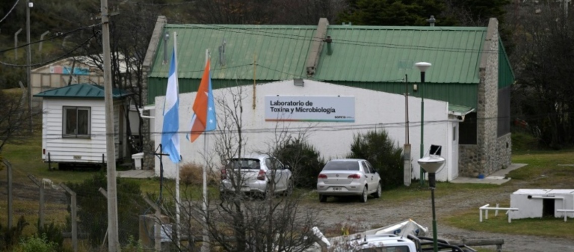 Hantavirus-Ausbruch: Biologen sammlen in Ushuaia Proben von Nagetieren für Tests