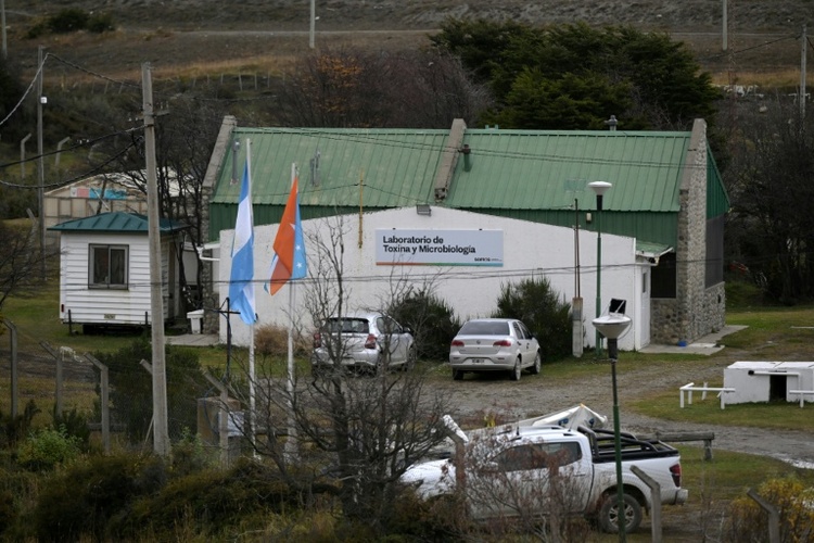 Hantavirus-Ausbruch: Biologen sammlen in Ushuaia Proben von Nagetieren für Tests