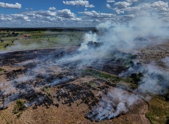 Abholzung in Brasiliens Amazonasgebiet auf niedrigstem Stand seit 2019
