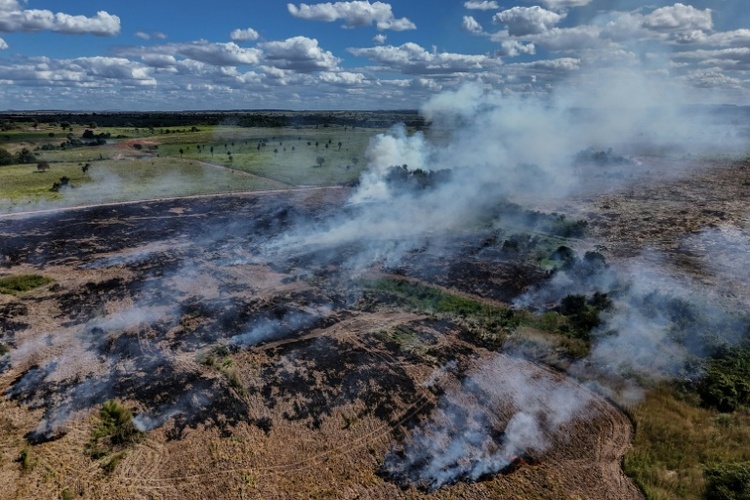 Abholzung in Brasiliens Amazonasgebiet auf niedrigstem Stand seit 2019