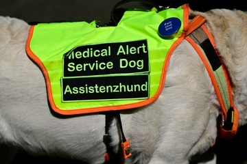 Gericht: Anspruch auf Assistenzhund bei Posttraumatischer Belastungsstörung