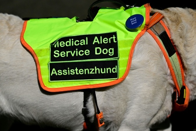 Gericht: Anspruch auf Assistenzhund bei Posttraumatischer Belastungsstörung