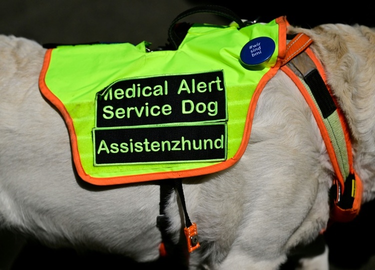 Gericht: Anspruch auf Assistenzhund bei Posttraumatischer Belastungsstörung