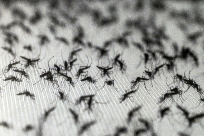 Lernfähige Blutsauger: Warum Insektenspray Mücken sogar anziehen kann