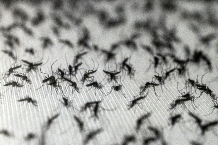 Lernfähige Blutsauger: Warum Insektenspray Mücken sogar anziehen kann