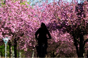 Wetterbilanz: Frühjahr in Deutschland war eines der mildesten seit Messbeginn